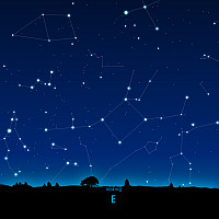 E