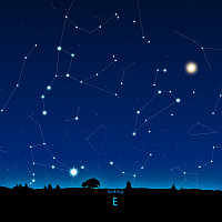 E