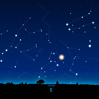 E