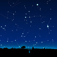 E