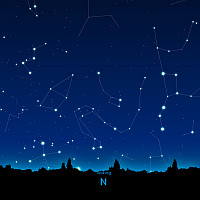 N