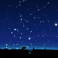 E
