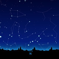 N