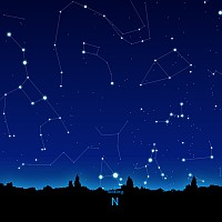 N