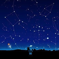 W