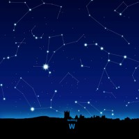 W