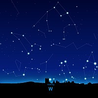 W