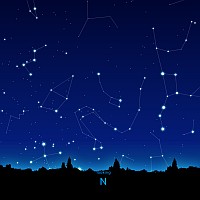 N