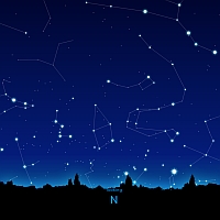 N
