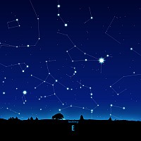 E