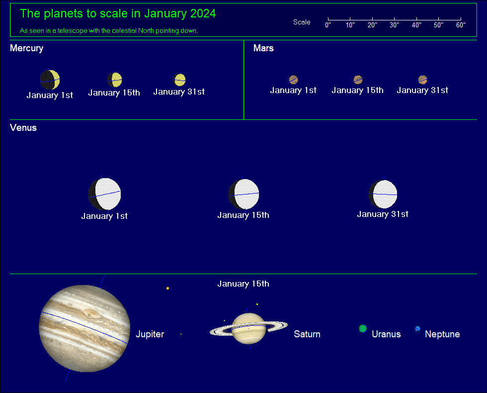 Planet Scale