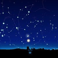 W