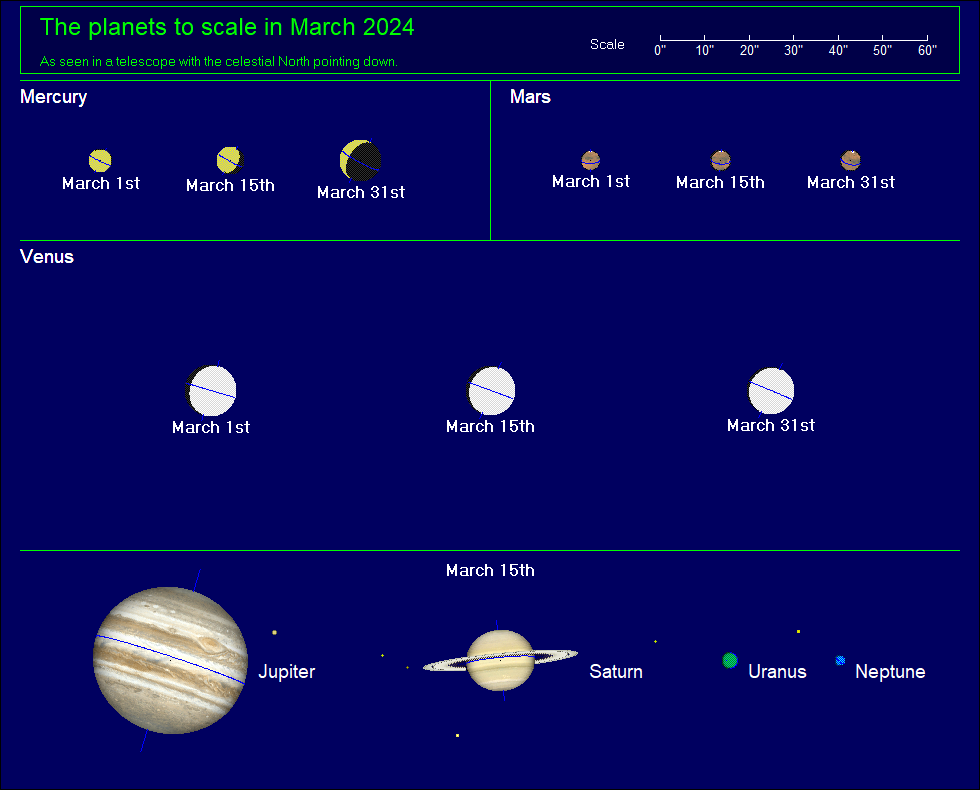 Planet Scale