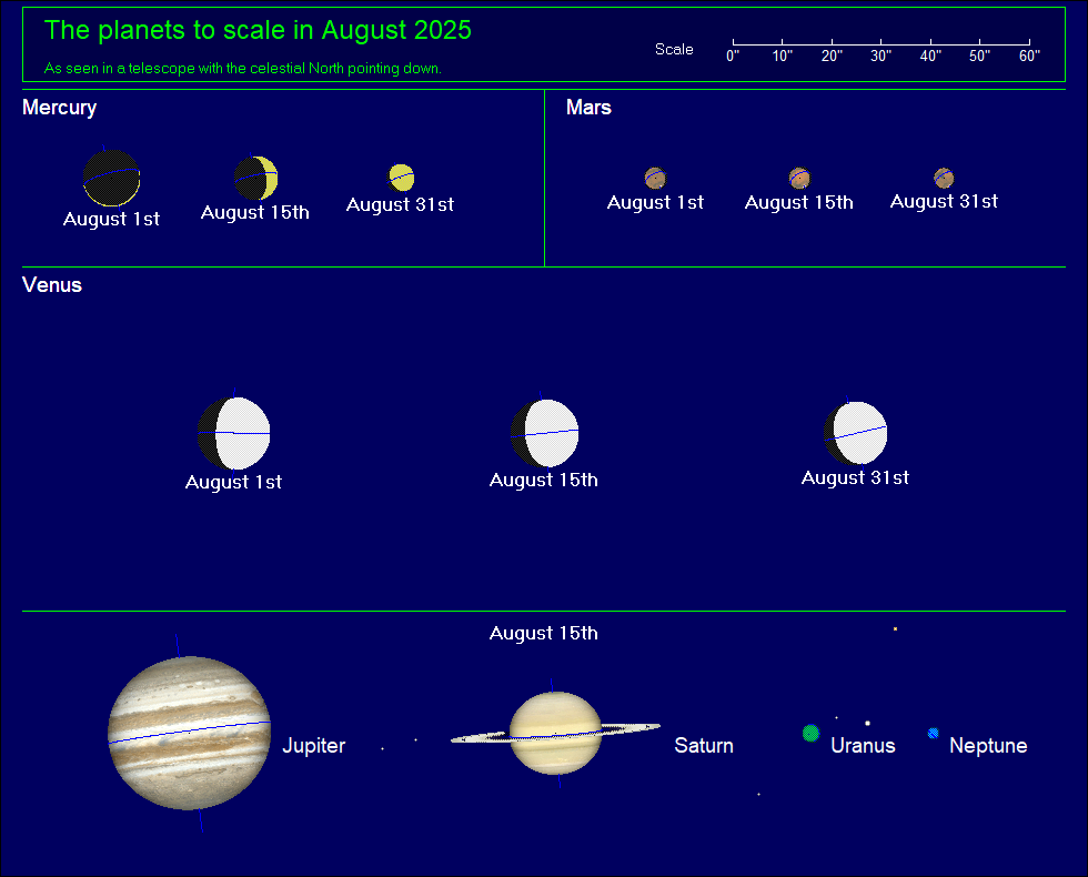 Planet Scale