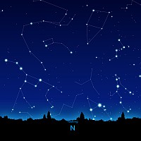 N