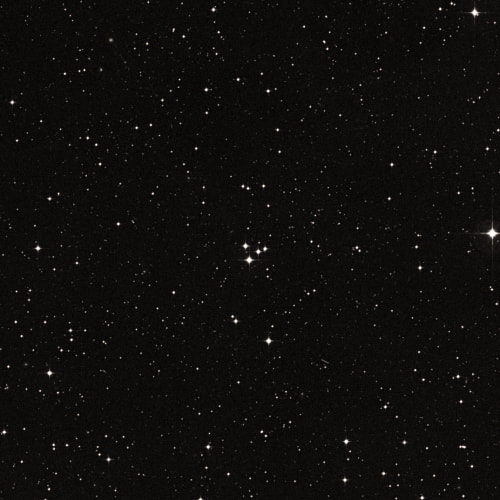 M73