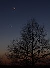 Mond & Venus